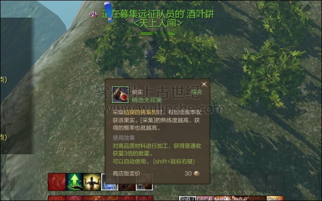 错误 无花果 鳄梨树ScreenShot0028.jpg