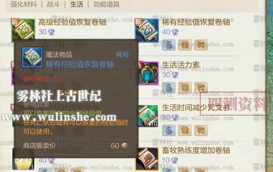 魔法物品 稀有经验值恢复卷轴ScreenShot2129.jpg